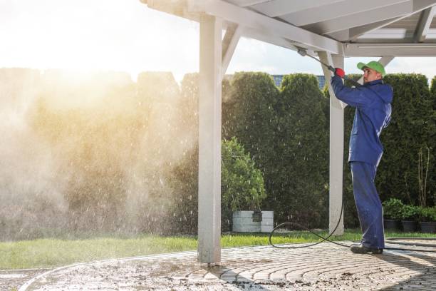 Best Pre-Holiday Cleaning  in Middleport, OH